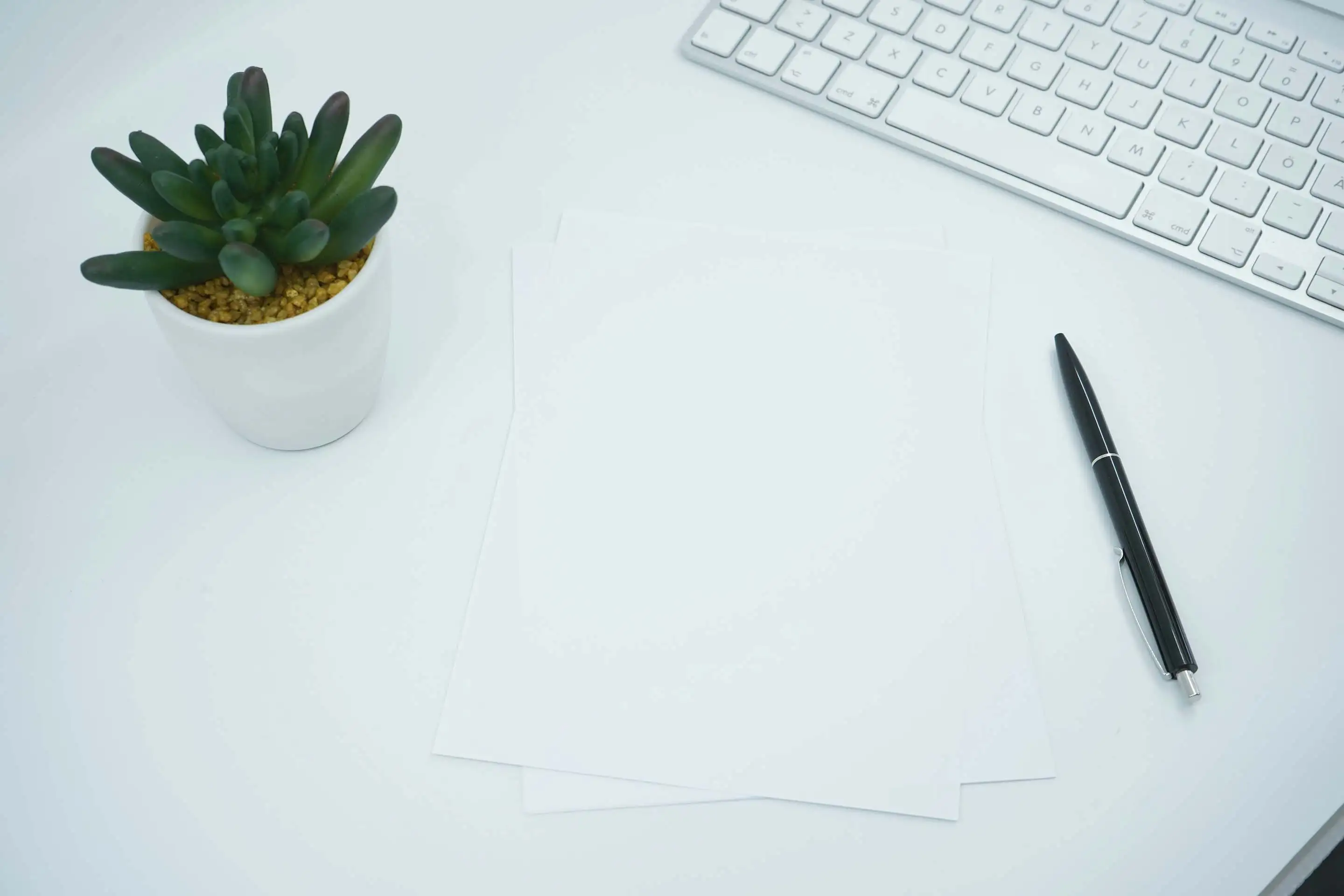 Background: succulent plant in a white pot, blank sheets of paper, a black pen, and a computer keyboard on a white desk